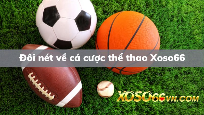 Đôi nét về cá cược thể thao Xoso66 cần biết