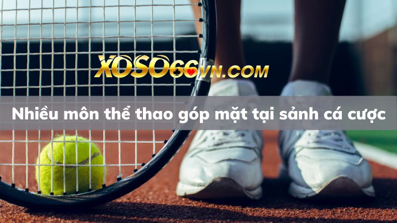 Đa dạng môn thể thao cho các anh em cược thủ lựa chọn