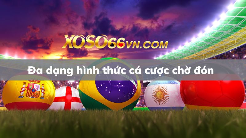 Đa dạng hình thức cá cược tại thể thao Xoso66